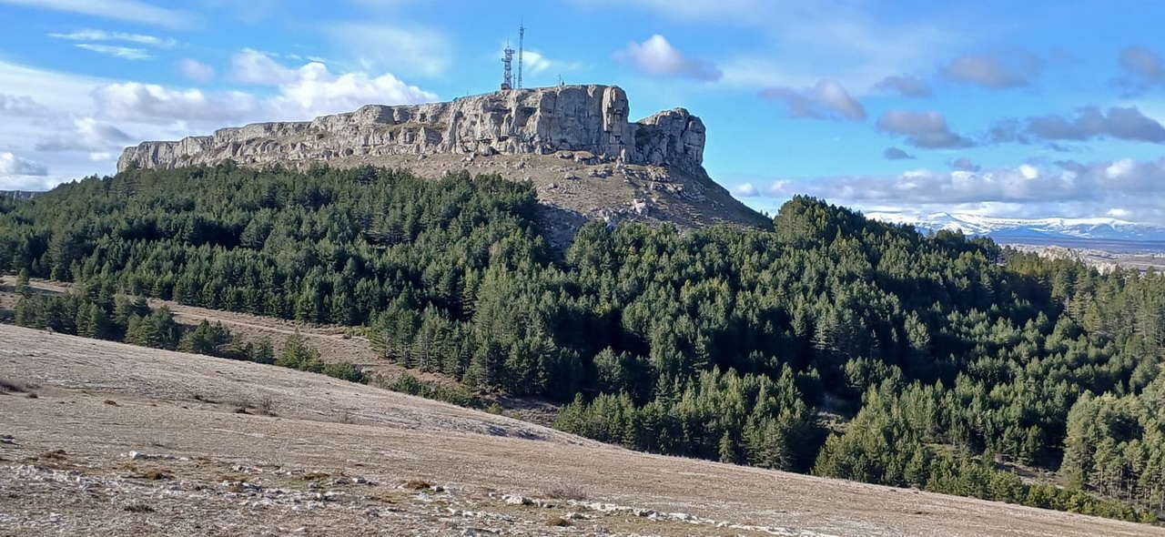 WhatsApp Image 2026-02-10 at 11.24.08 (5)